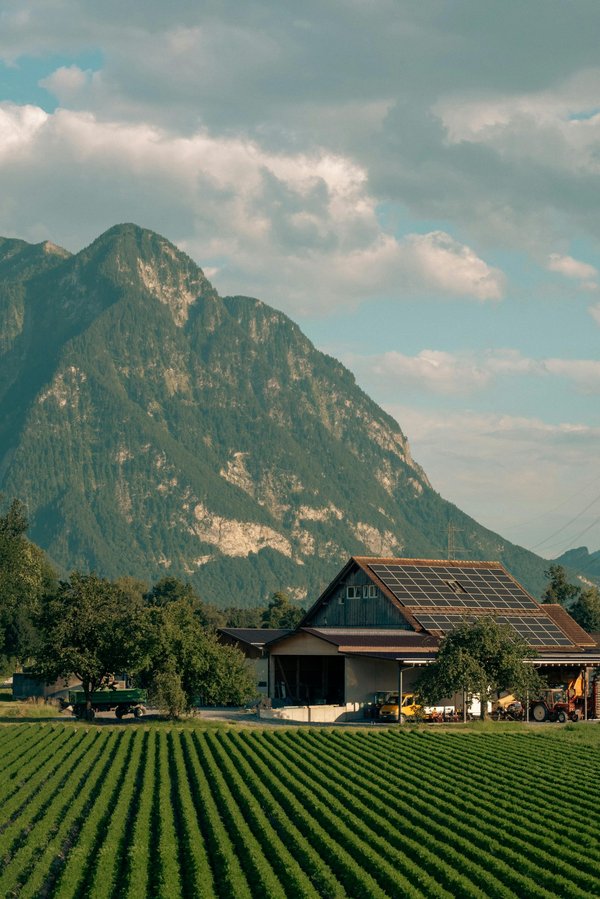 L'éco-PTZ : un coup de pouce pour vos rénovations écologiques